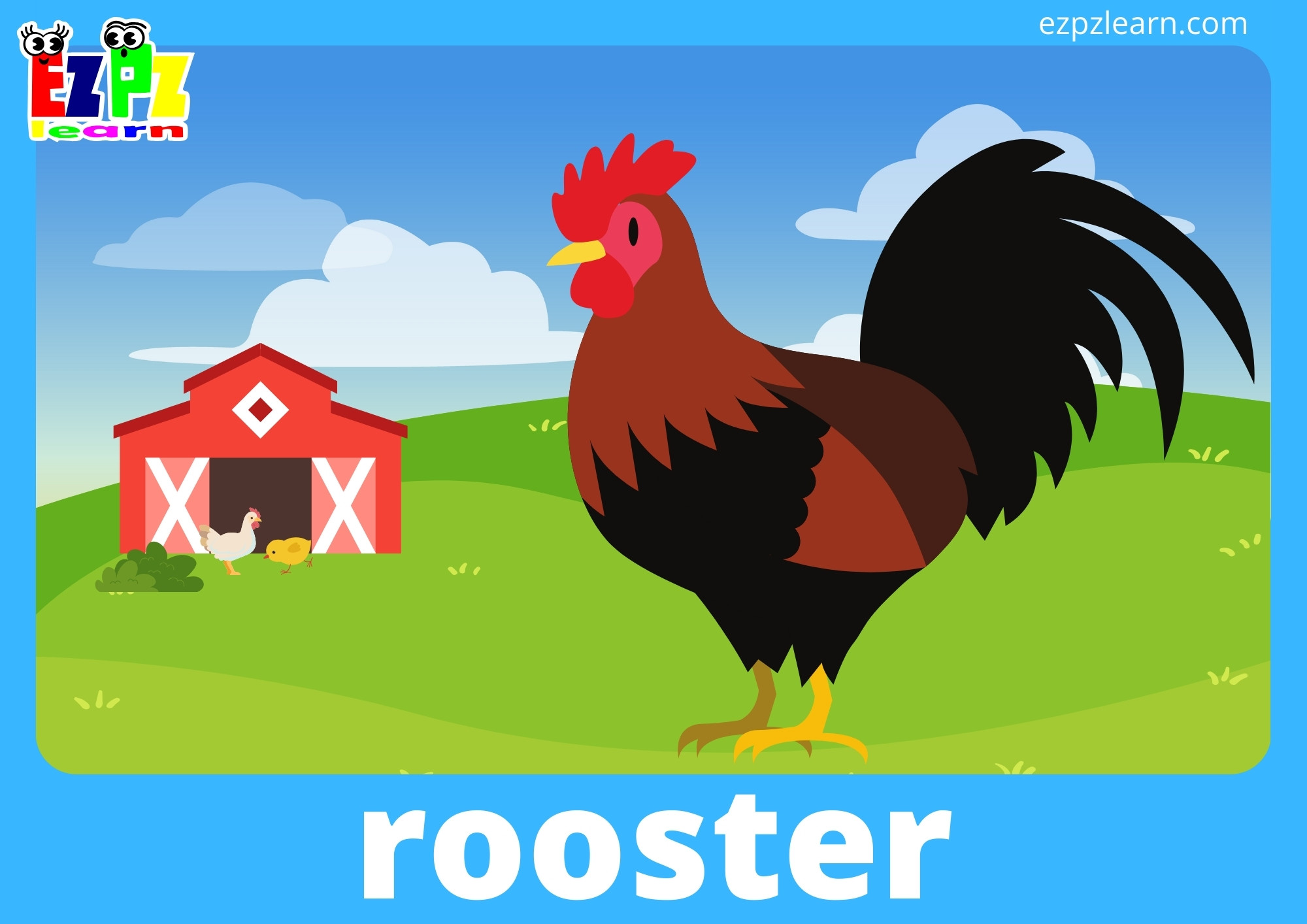 rooster